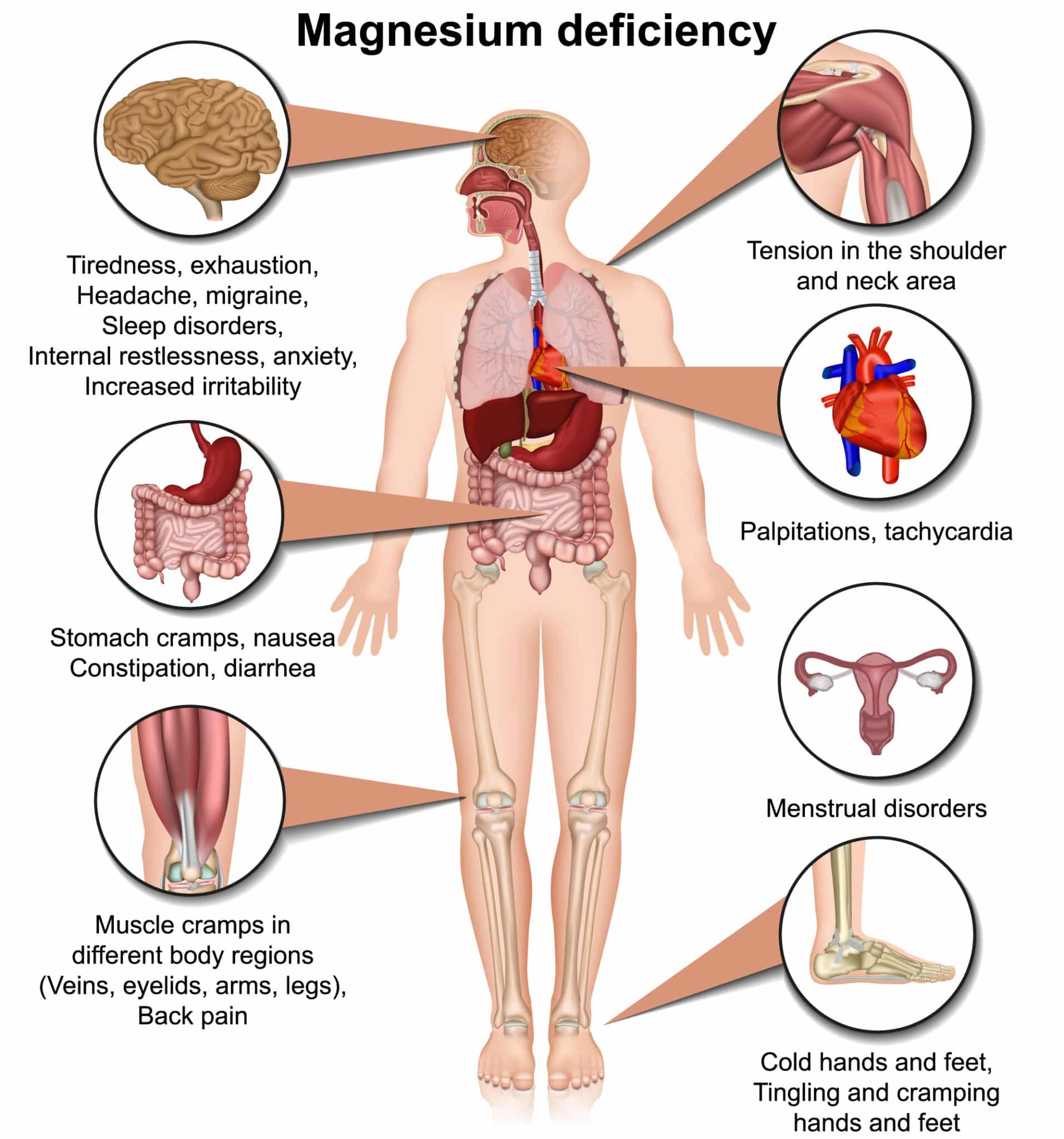 Magnesium Glycinate Vs. Bisglycinate Which is Better?