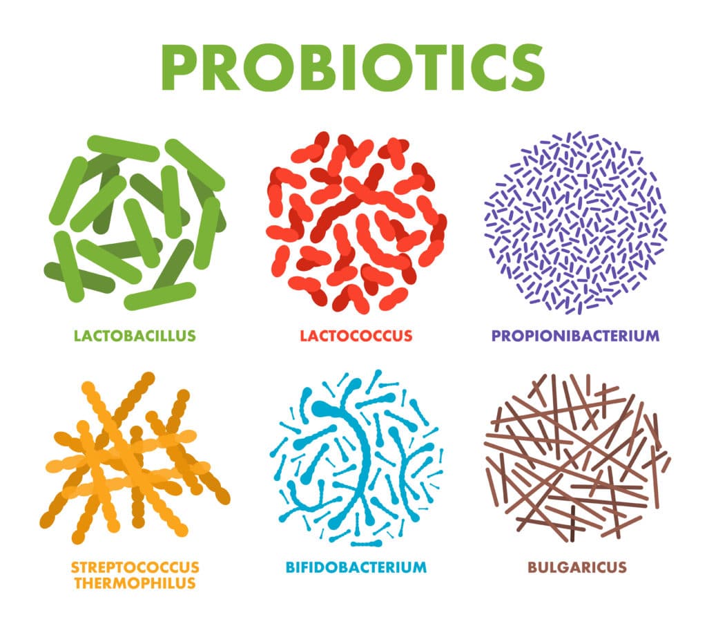 probiotics for women